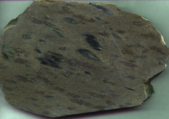 26/�-2003