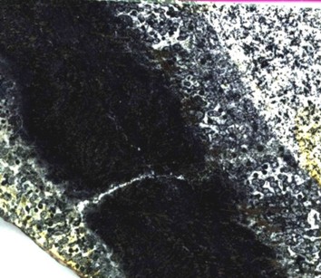 2965/�-87