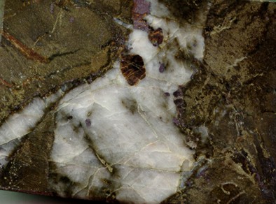 3149/�-88