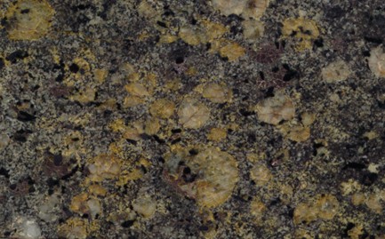 3622/�-89